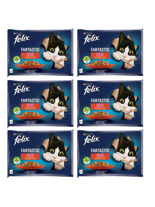 FELIX Wiejskie Smaki w galaretce z wołowina i kurczakiem 12x(4x85g)