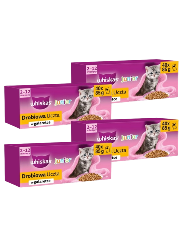 WHISKAS Junior Drobiowa uczta w galaretce - mokra karma dla kota - 160x85g