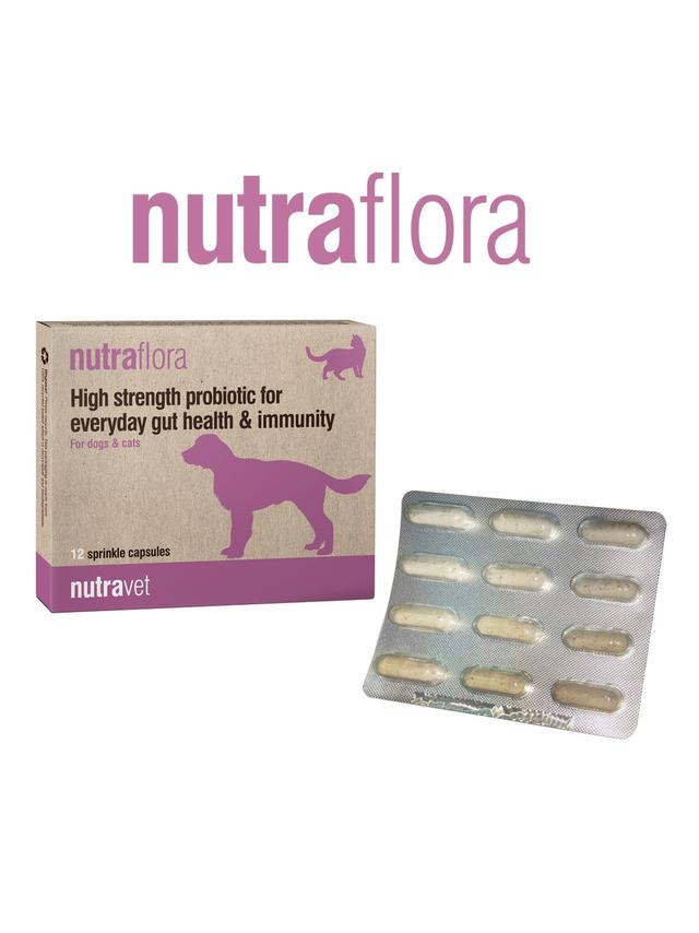 NUTRAVET Nutraflora For Dogs & Cats 12kaps - Probiotyk o wysokiej sile wspomagający codzienne zdrowie jelit i odporności