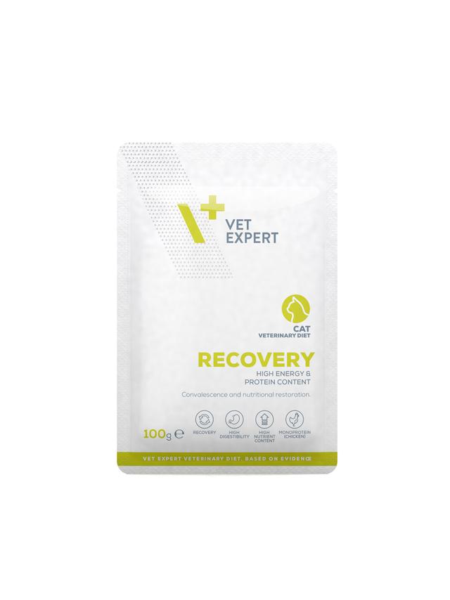 VETEXPERT Recovery Cat - - mokra karma weterynaryjna dla kotów 100g