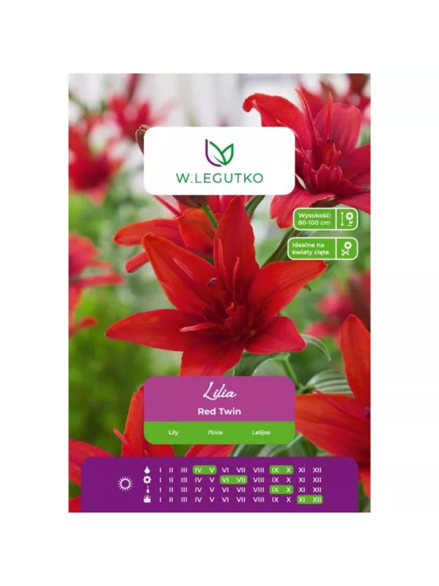 Lilia Red Twin czerwona 1szt.