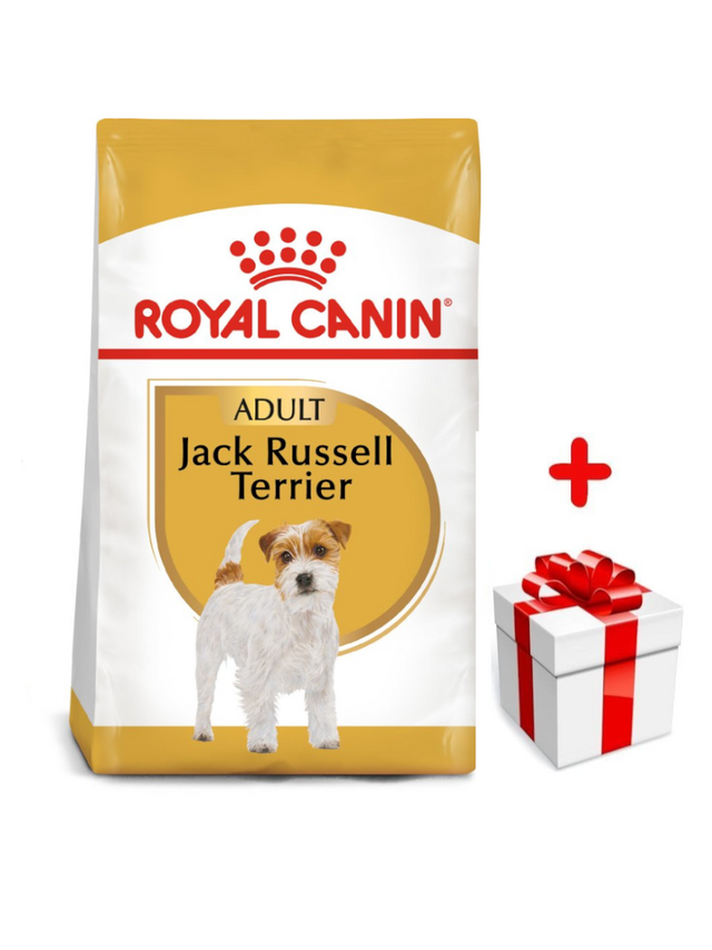 ROYAL CANIN Jack Russell Terrier Adult 1,5kg karma sucha dla psów dorosłych rasy jack russel terrier + niespodzianka dla psa GRATIS