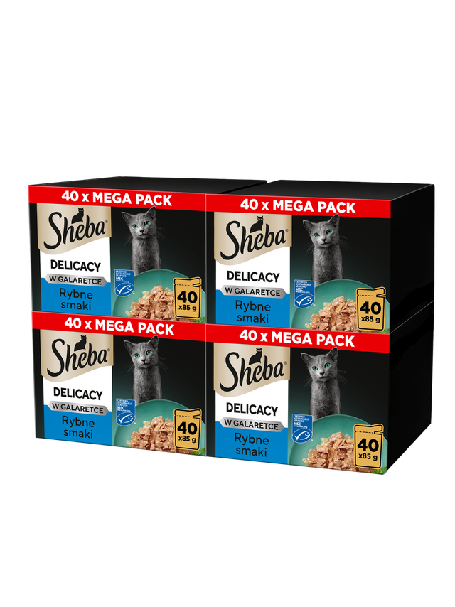 Sheba Delicacy in Jelly Kolekcja Smaków Rybnych w galaretce 160x85g