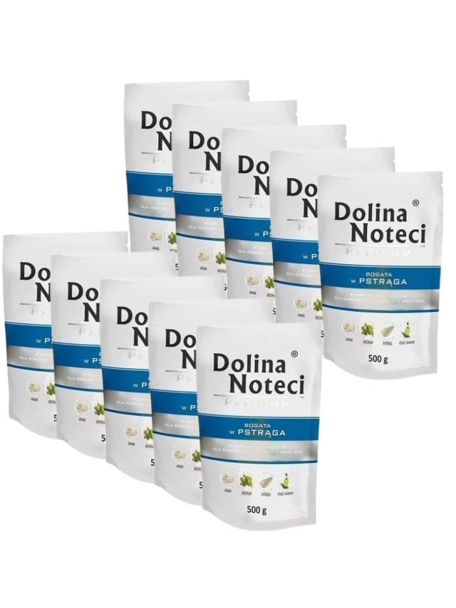 Dolina Noteci Premium Pstrąg 10x500g