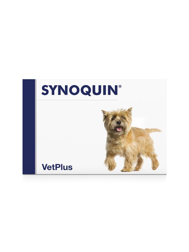 VetPlus SYNOQUIN EFA małe rasy 30 tabletek