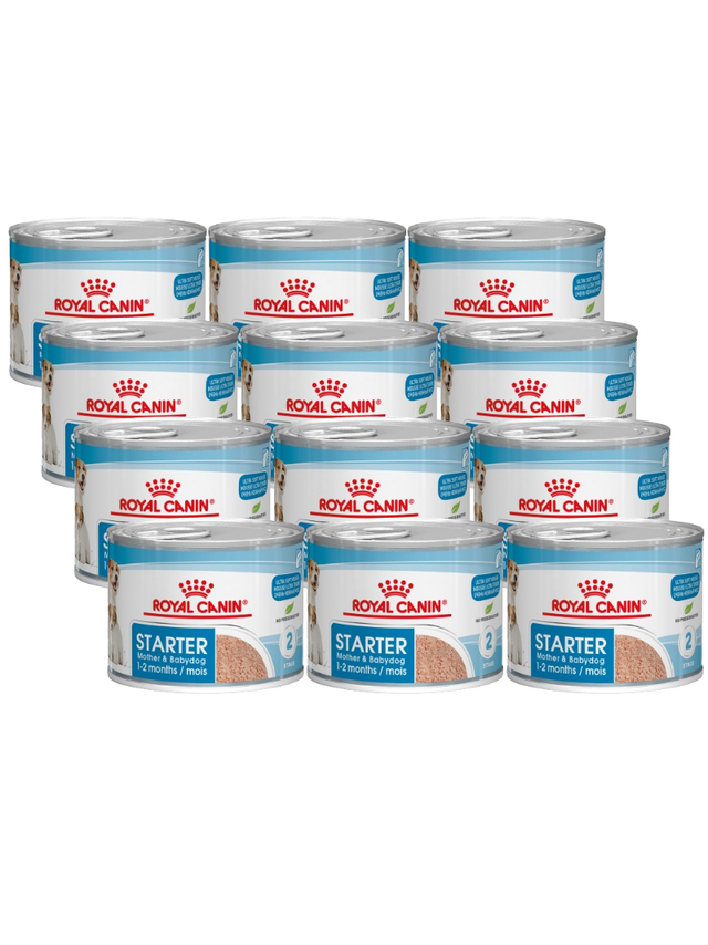 ROYAL CANIN Starter Mousse Mother & Babydog 12x195g karma mokra - mus, dla suk w czasie ciąży, laktacji oraz szczeniąt
