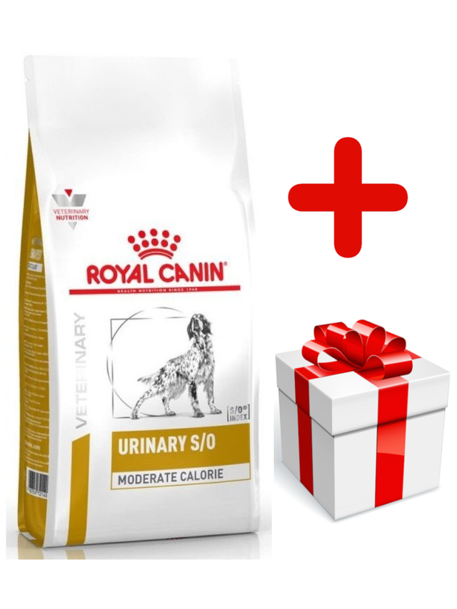 ROYAL CANIN Urinary S/O Moderate Calorie UMC 20 12kg + niespodzianka dla psa GRATIS!
