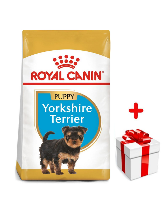 ROYAL CANIN Yorkshire Terrier Puppy 1,5kg karma sucha dla szczeniąt do 10 miesiąca, rasy yorkshire terrier + niespodzianka dla psa GRATIS!