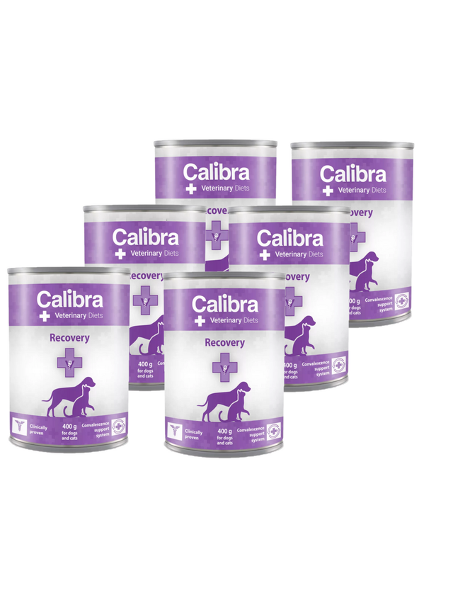 Calibra Veterinary Diets Recovery Dog/Cat 6x400g