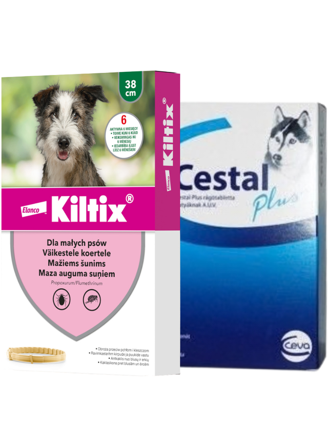 Kiltix Obroża dla małych psów 38 cm+ Cestal Dog Plus tabletki na odrobaczanie psów 2 sztuki