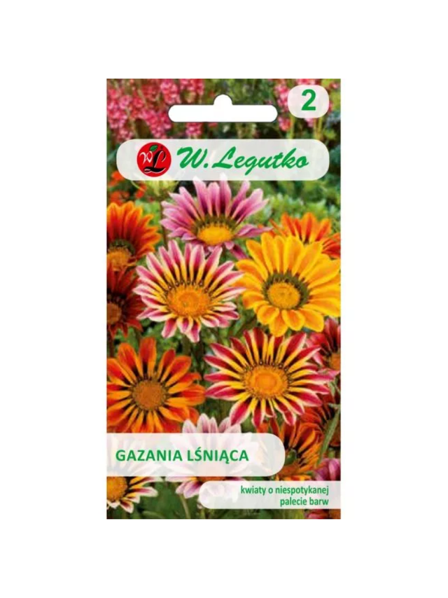 Gazania lśniąca mieszanka (nasiona otarte)