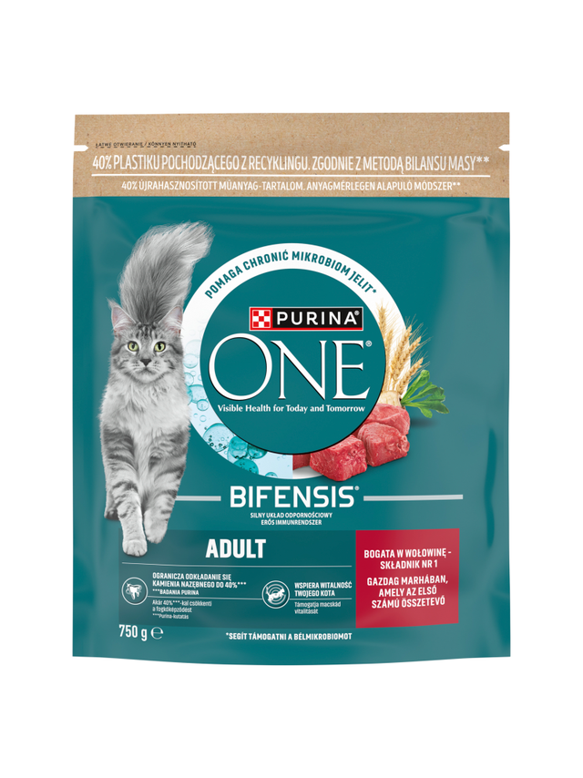 PURINA ONE Bifensis Adult Karma dla dorosłych kotów bogata w wołowinę 750 g