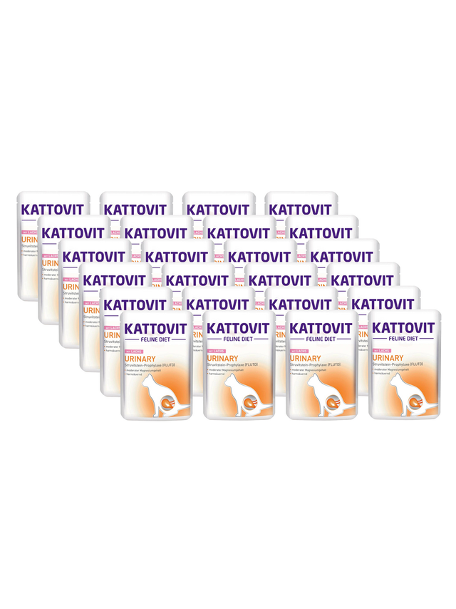 Kattovit Urinary łosoś 24x85g saszetka