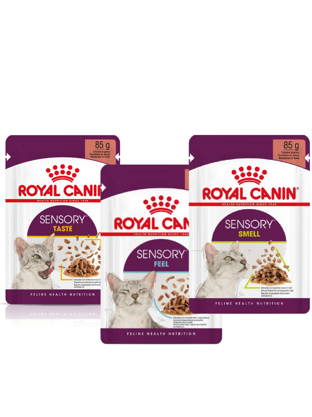 ROYAL CANIN Sensory Feel/Taste/Smell 85g