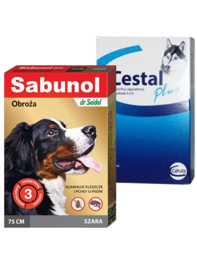 Sabunol szara obroża przeciw pchłom i kleszczom dla psa 75 cm+Cestal Dog Plus tabletki na odrobaczanie psów 2 sztuki