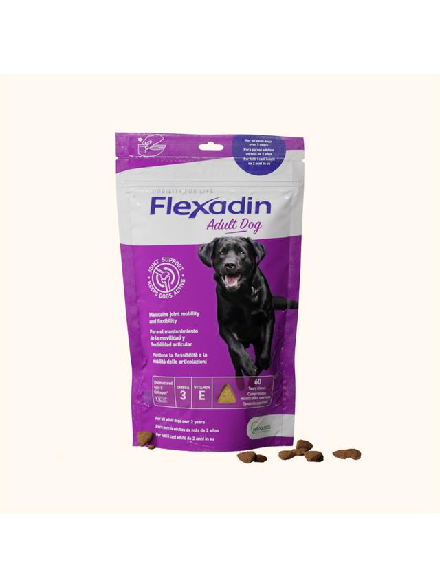 VETOQUINOL Flexadin Adult Dog 60 kąsków