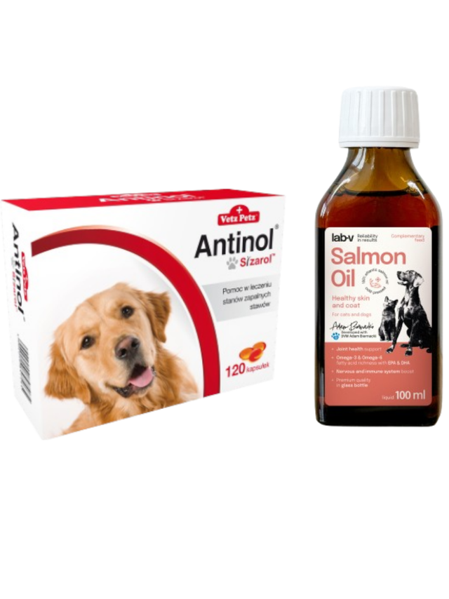 BIOVICO ANTINOL SIZAROL PIES 120 tabletek NA STAWY + Lab-V Olej z Łososia 100% Dla Psa i Kota w Każdym Wieku 100ml Tłoczony Na Zimno GRATIS !!!