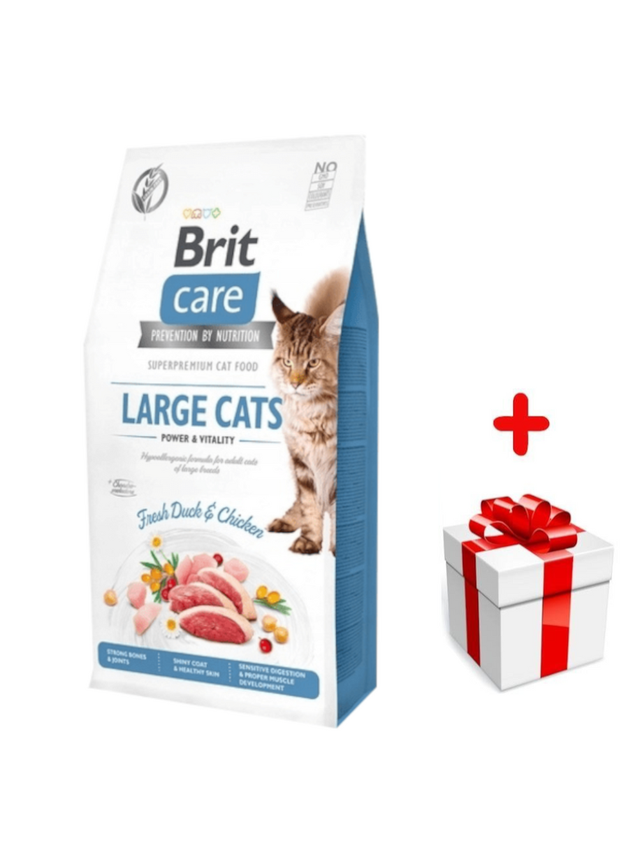 BRIT Care Grain-Free Large Cats Power & Vitality  2kg + niespodzianka dla kota GRATIS!