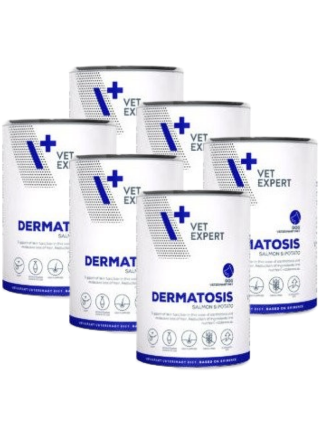VETEXPERT Diet Dermatosis 6x400g