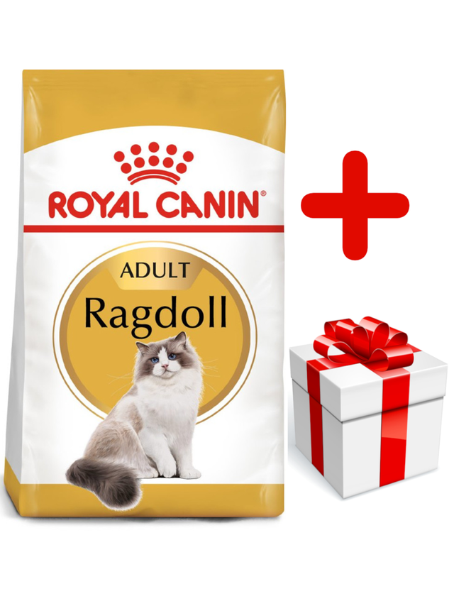 ROYAL CANIN Ragdoll Adult 10kg karma sucha dla kotów dorosłych rasy ragdoll  + niespodzianka dla kota GRATIS!