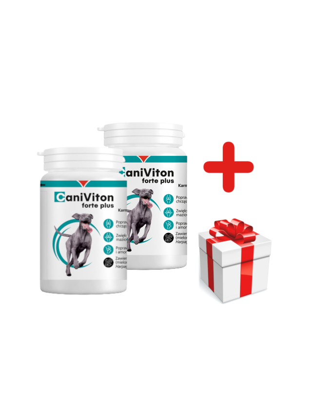 VETOQUINOL Caniviton Forte Plus - Karma Uzupełniająca Dla Psów 2x90 tab + NIESPODZIANKA DLA PSA GRATIS