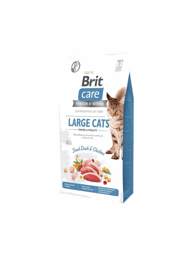BRIT Care Grain-Free Large Cats Power & Vitality  2kg