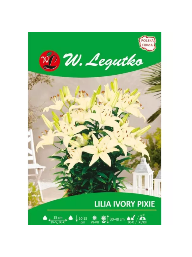 Lilia Ivory Pixie kremowa 1szt.