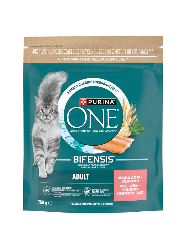 PURINA ONE Bifensis Adult Karma dla dorosłych kotów bogata w łososia 750 g
