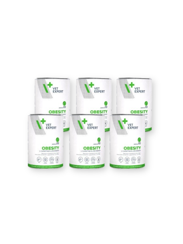 VETEXPERT Obesity 6x400g