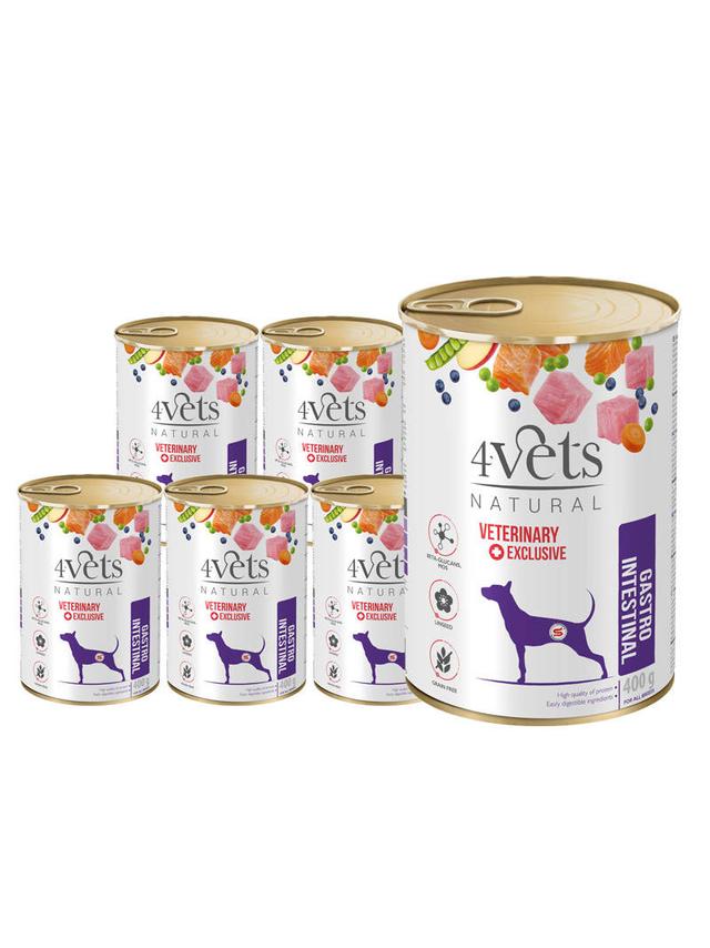 4Vets dla psów Gastro Intestinal 6x400g