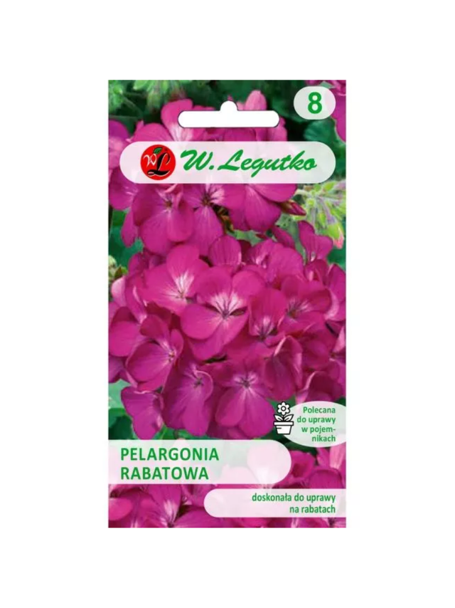 Pelargonia rabatowa Gama F1 - fioletowa