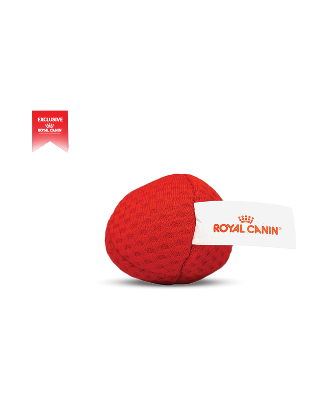 Royal Canin piłka dla kota