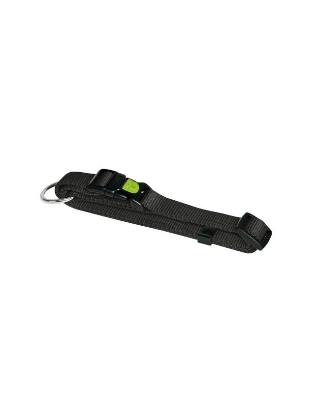 KERBL Obroża Miami, 20 - 35 cm x 10 mm