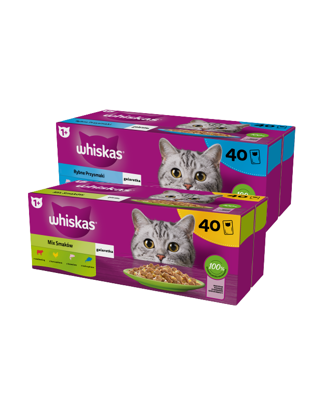 WHISKAS Adult saszetki 40 x 85 g Mix Smaków - mokra karma dla dorosłego kota, w galaretce + WHISKAS Adult saszetki 40 x 85 g Rybne Przysmaki