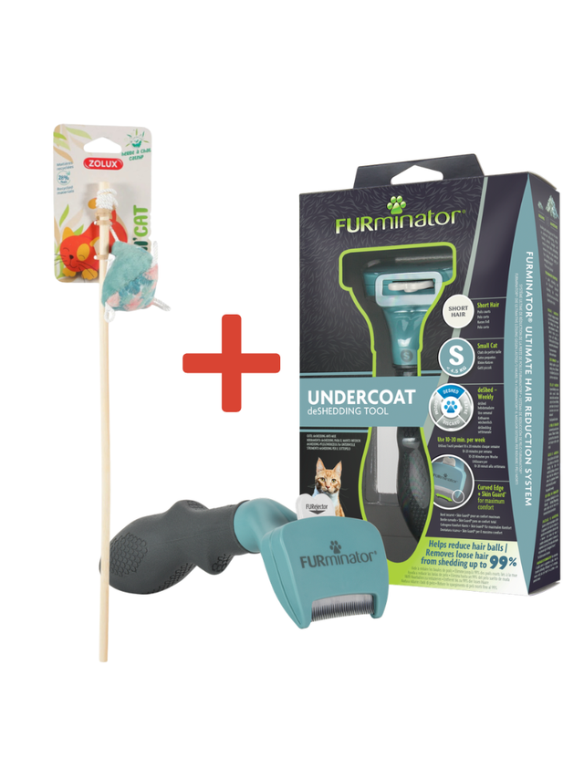 FURMINATOR dla kotów krótkowłosych - Small + Zabawka dla kota GRATIS !