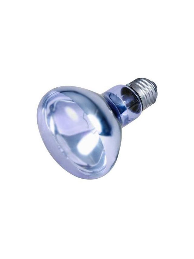 TRIXIE Punktowa lampa grzewcza neodymowa 100W