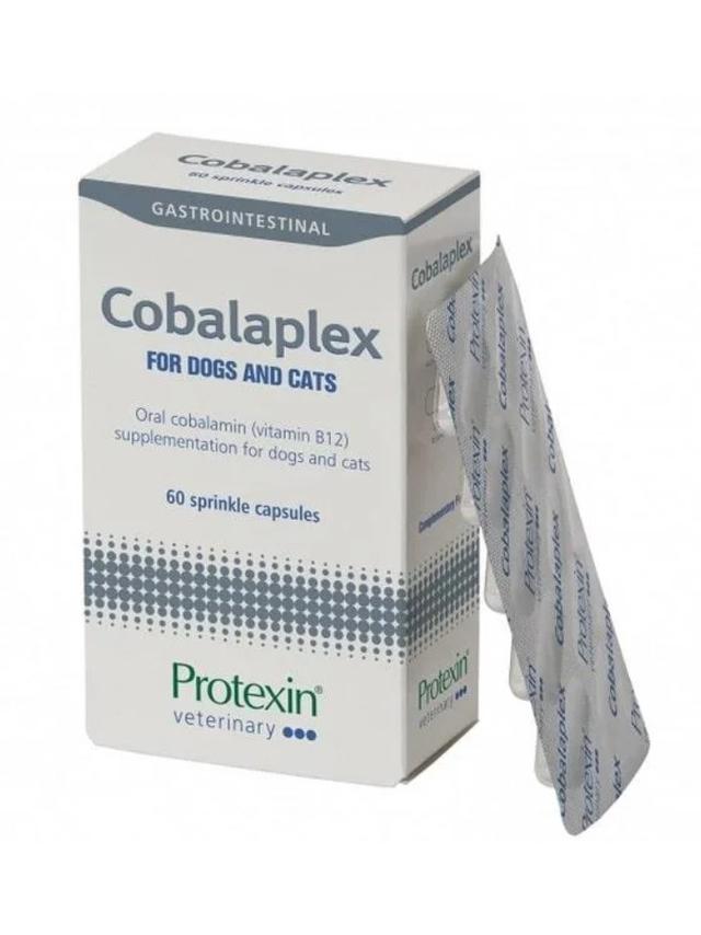 Protexin Cobalaplex 60 kapsułek probiotyk dla psa i kota