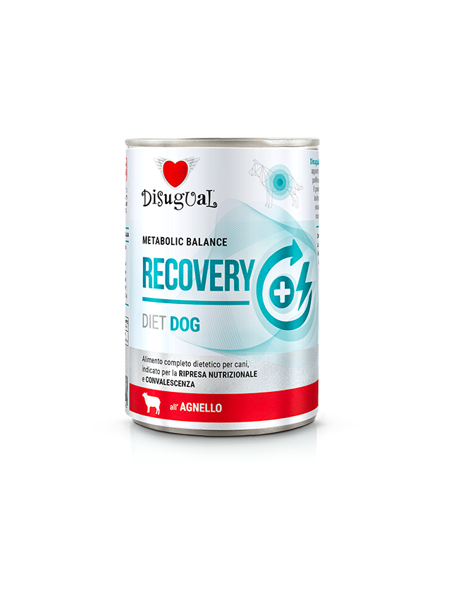Disugual Karma mokra dla psa Weterynaryjna RECOVERY Jagnięcina (dorosły) 400g
