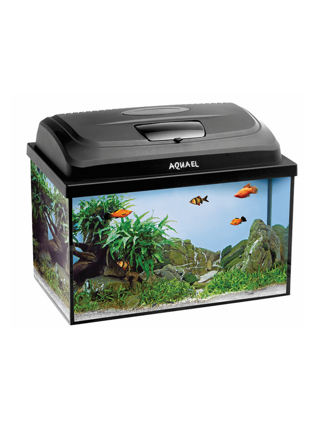 AQUAEL Zestaw Akwarystyczny Classic Box 40/P D&N