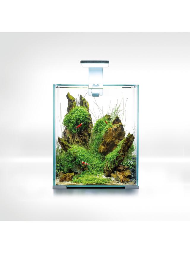 AQUAEL Zestaw Aquael Shrimp Set Smart Day & Night [20l] - biały