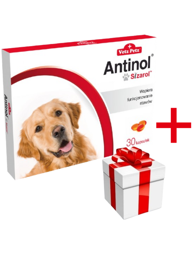 BIOVICO ANTINOL SIZAROL 30 tabletek NA STAWY + niespodzianka dla psa GRATIS!