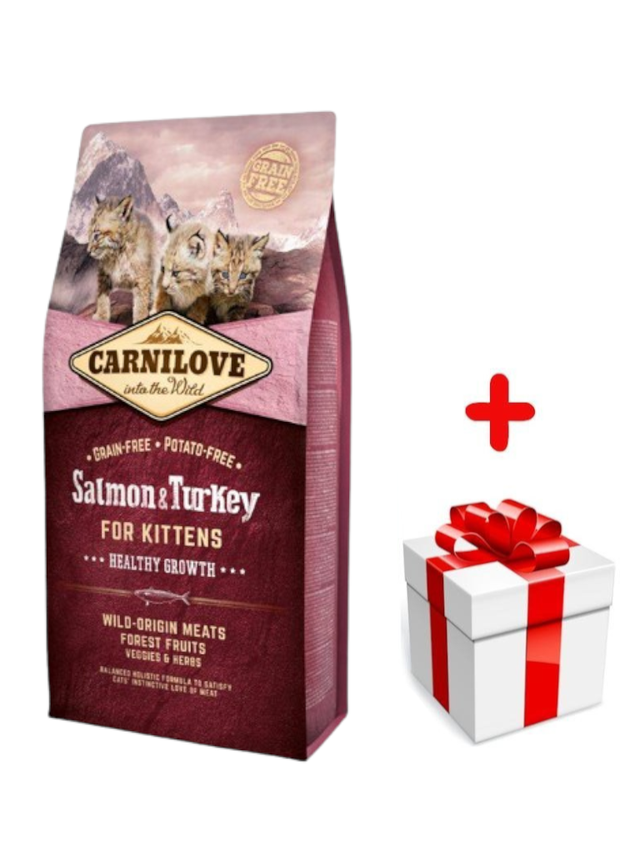 CARNILOVE Cat Salmon & Turkey For Kittens 2kg + niespodzianka dla kota GRATIS!