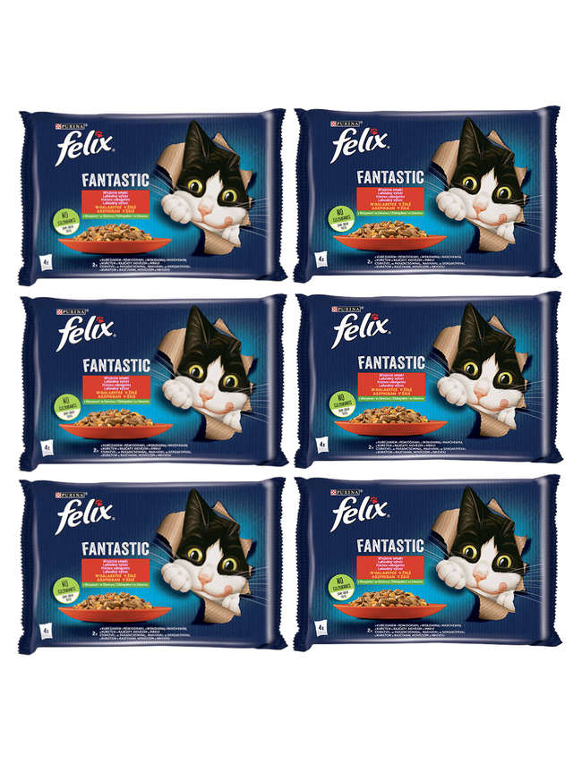 FELIX Fantastic w galaretce z kurczakiem i wołowiną 12x(4x85g)