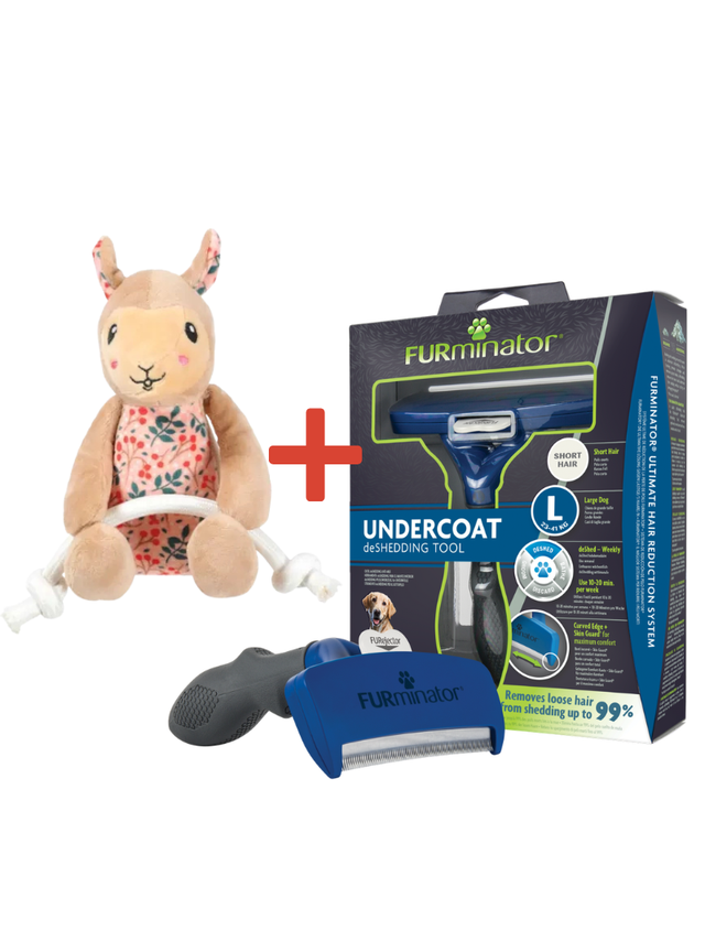 FURMINATOR dla psów krótkowłosych - Large + Zabawka dla psa GRATIS!