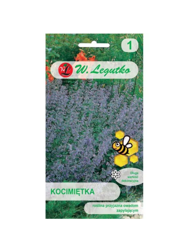 Kocimiętka - niebieskofioletowa
