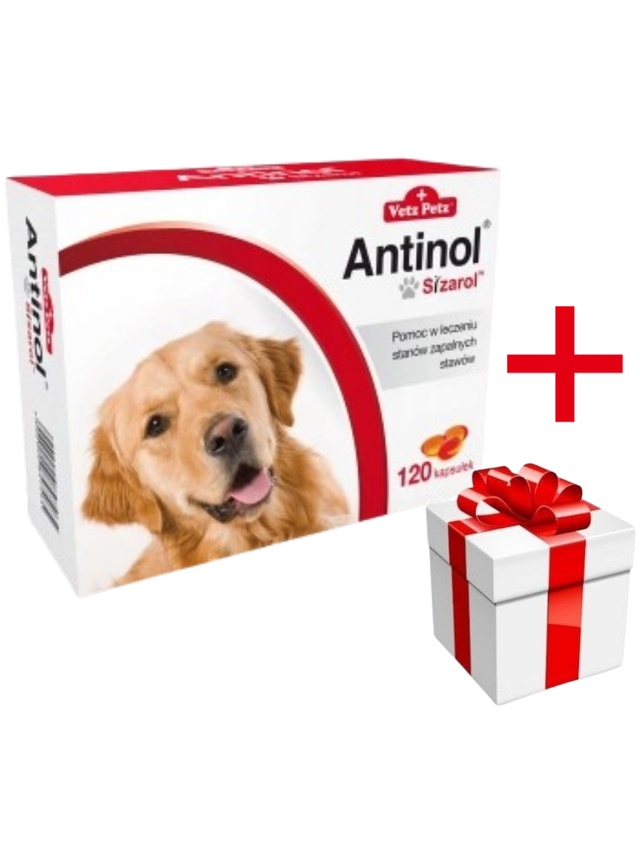 BIOVICO ANTINOL SIZAROL 120 tabletek NA STAWY + niespodzianka dla psa GRATIS!