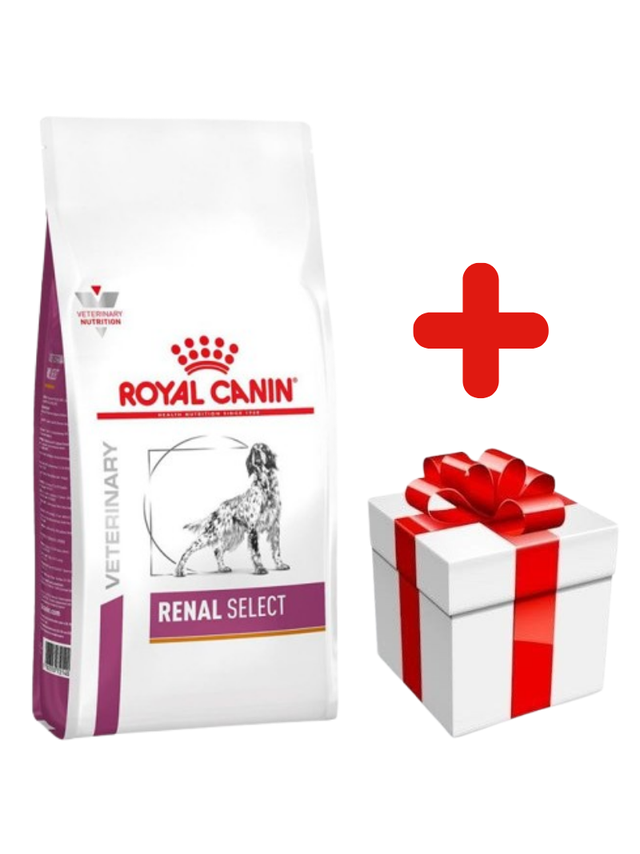 ROYAL CANIN Renal Select Canine RSE 10kg + niespodzianka dla psa GRATIS!