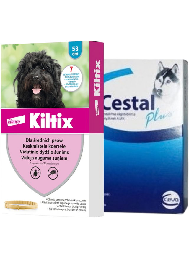 Kiltix Obroża dla psów średnich dł, 53cm+ Cestal Dog Plus tabletki na odrobaczanie psów 2 sztuki