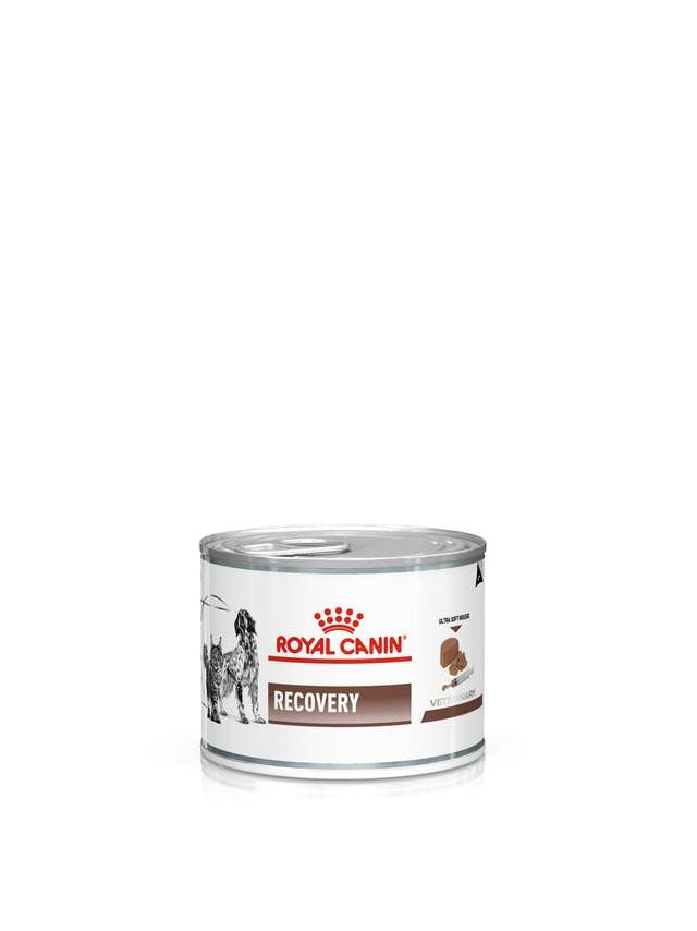 ROYAL CANIN Recovery 195g puszka