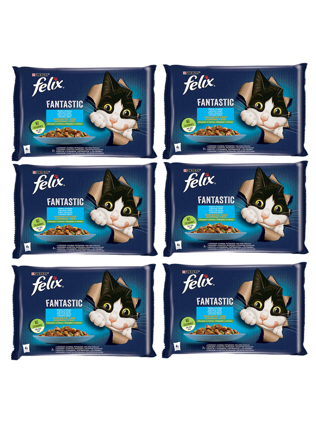 FELIX Fantastic Wiejskie Smaki w galaretce z łososiem i pstrągiem  12x(4x85g)